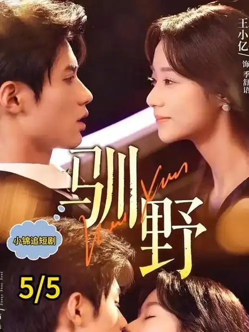 南来北往 电视剧 2024 郑晓龙
